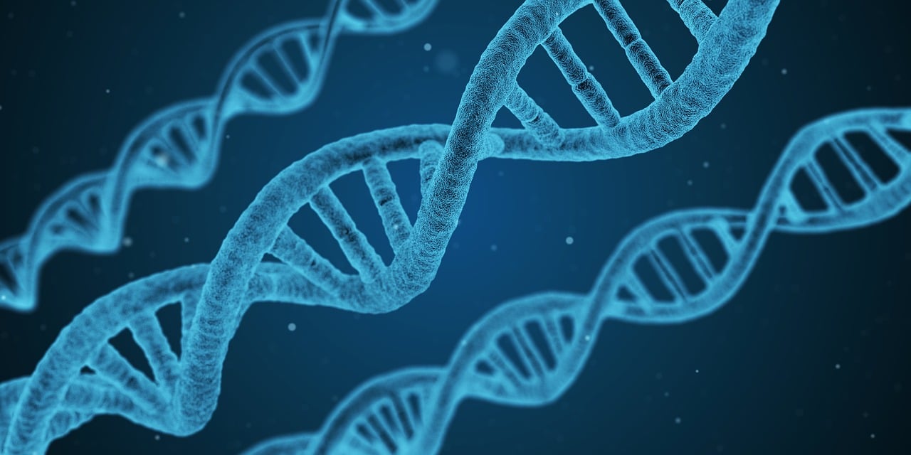 神奇的3D和值号码表探索与解析